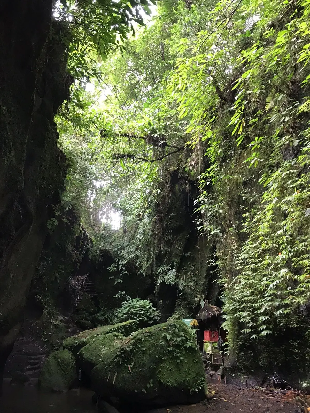 Nature, Indonesia