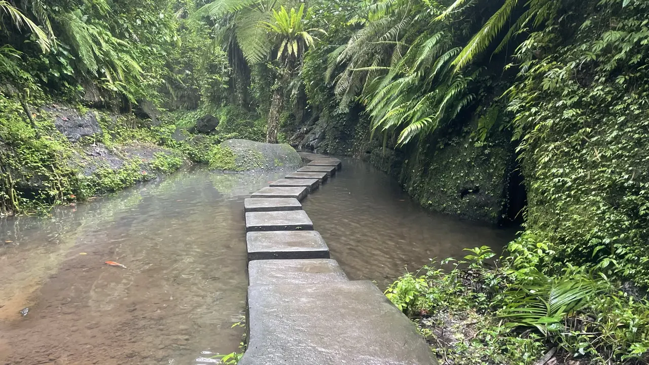 Nature, Indonesia