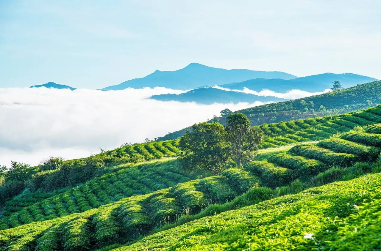 Nature, Vietnam