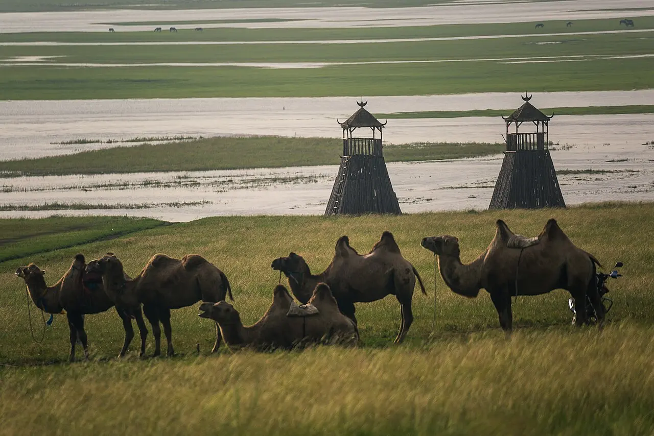 Nature, China