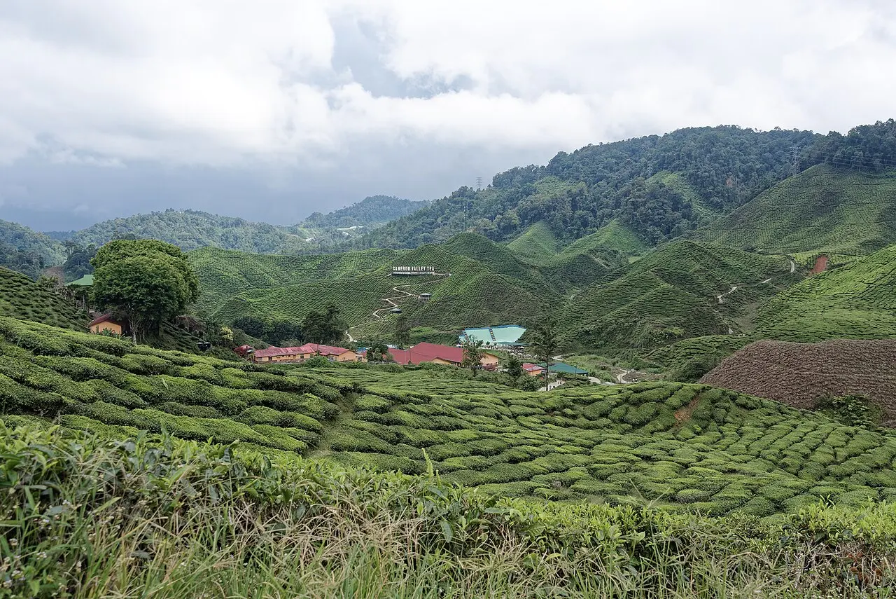 Nature, Malaysia
