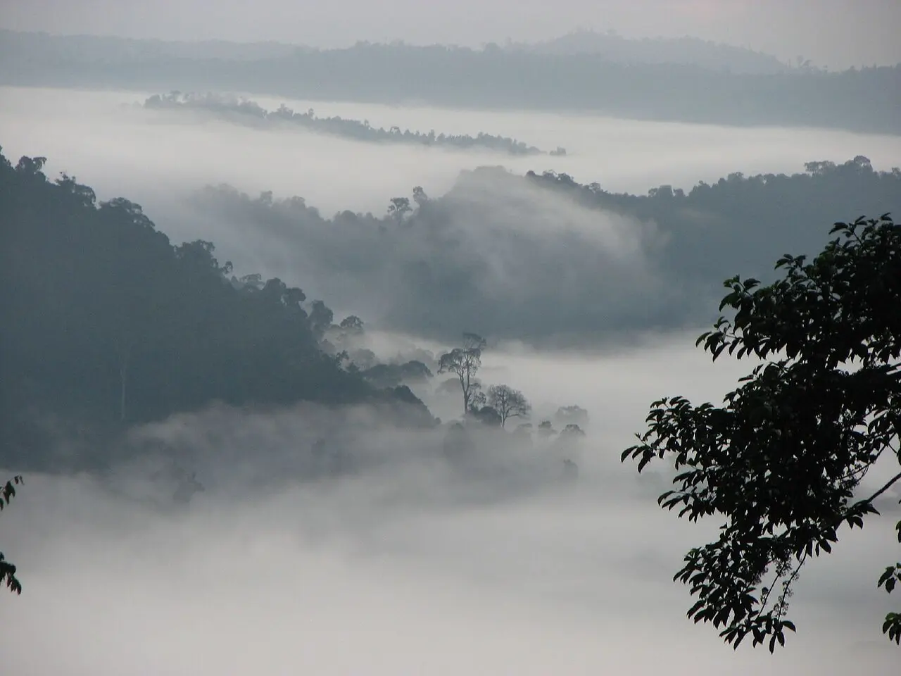 Nature, Malaysia