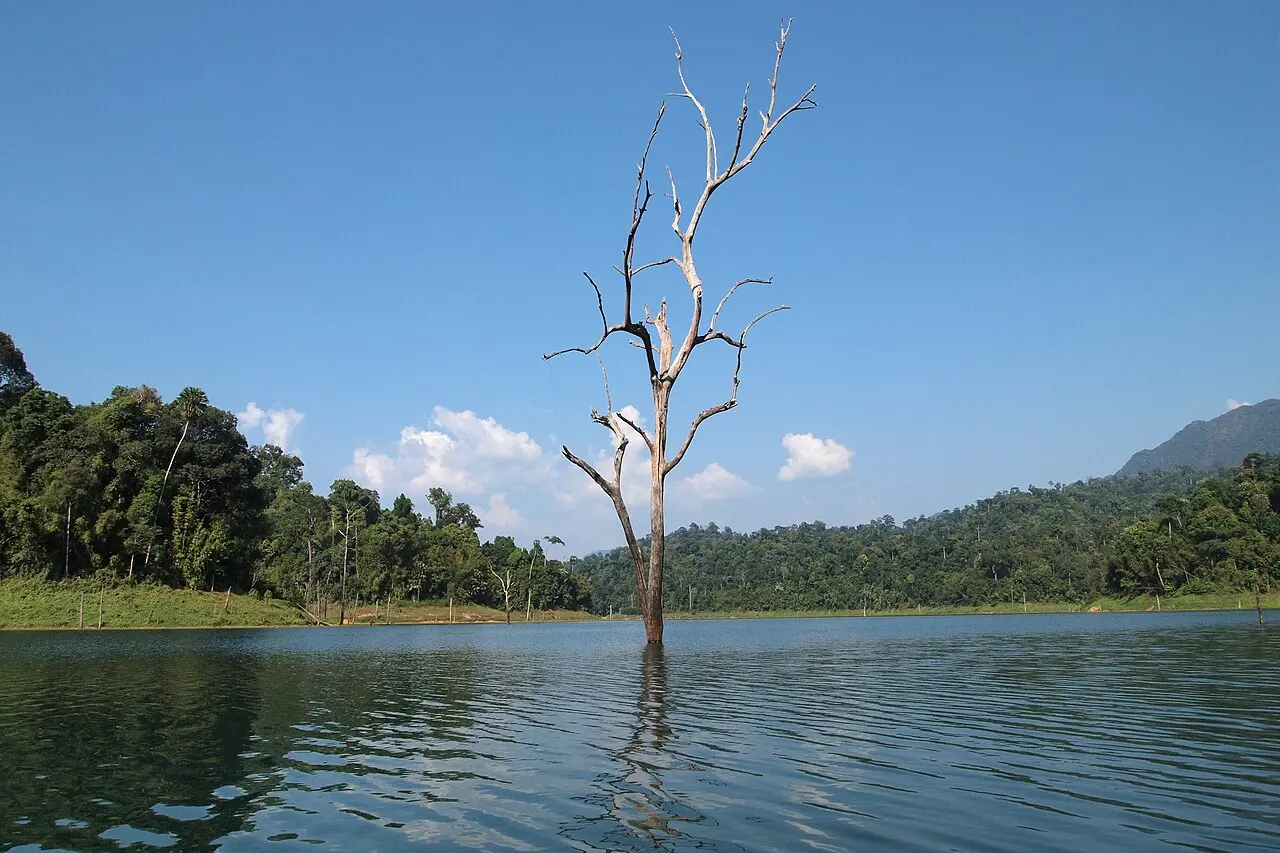 Nature, Thailand