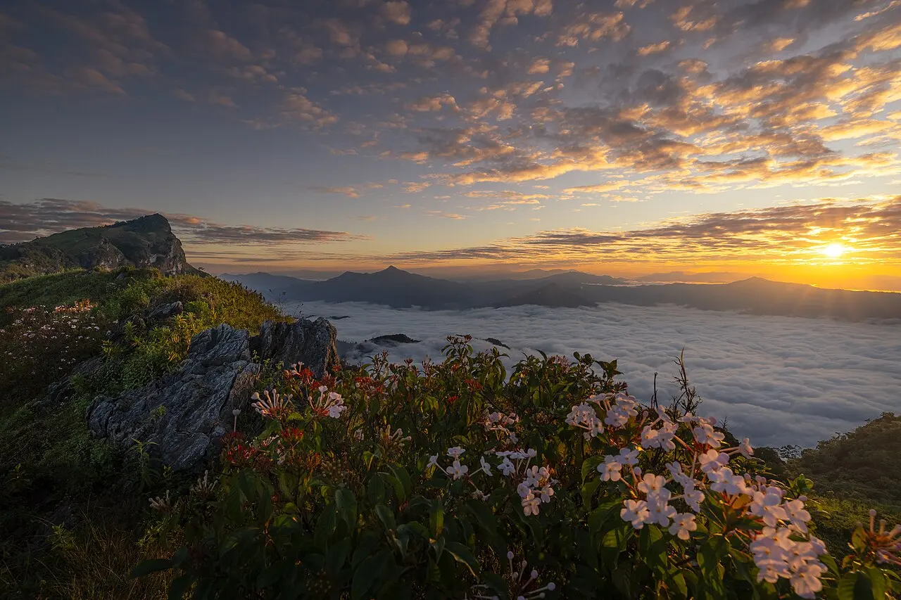Nature, Thailand