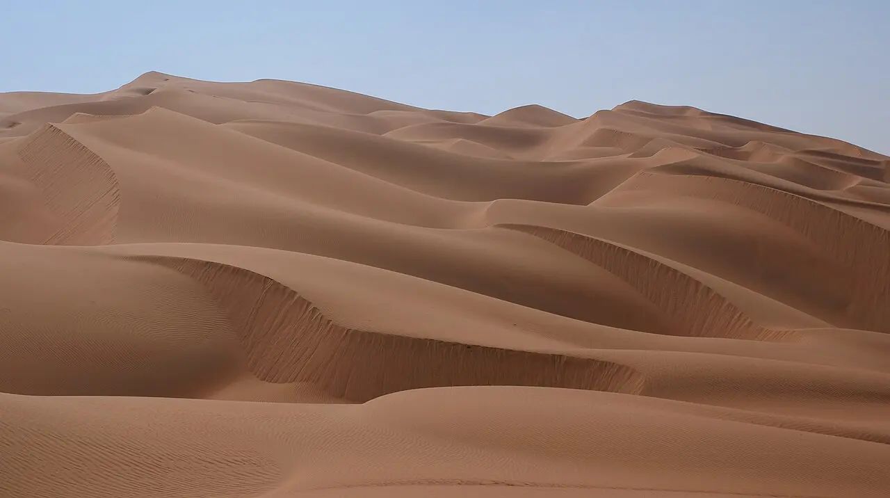 Nature, Dubai, UAE